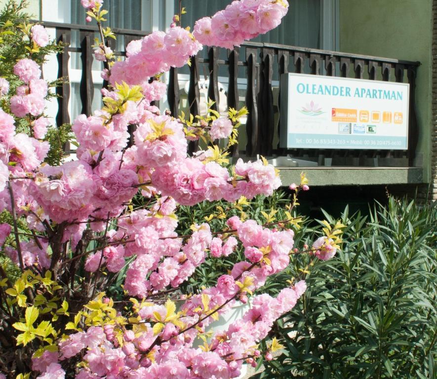 Oleander Apartman Hévíz Екстериор снимка